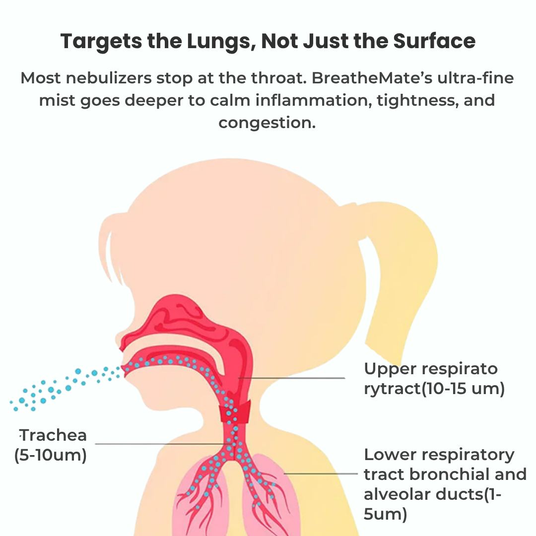 Mesh Nebulizer | Fast relief. Zero noise. Comfortable for all ages.